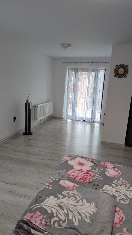 فيلا Casa Beatrice Călimăneşti المظهر الخارجي الصورة